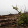 GeoPark (74)